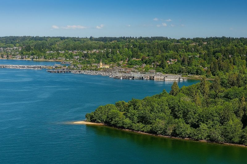 Hero for Home Services Options